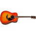 Yamaha FG830 AB